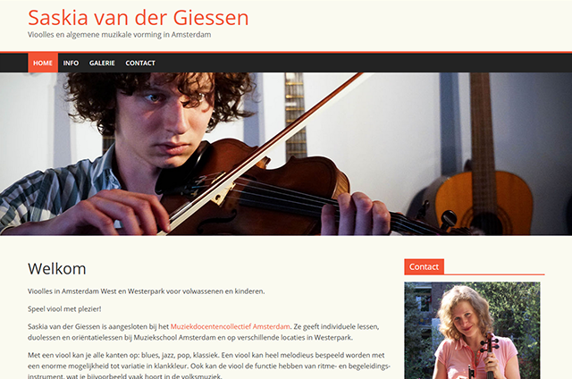 Violin lessons in Amsterdam